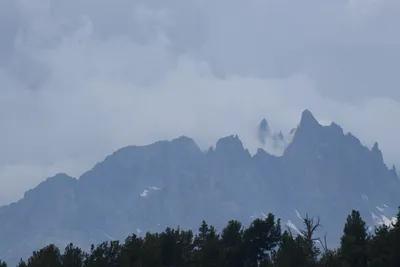 DSC_3112 (Large).JPG